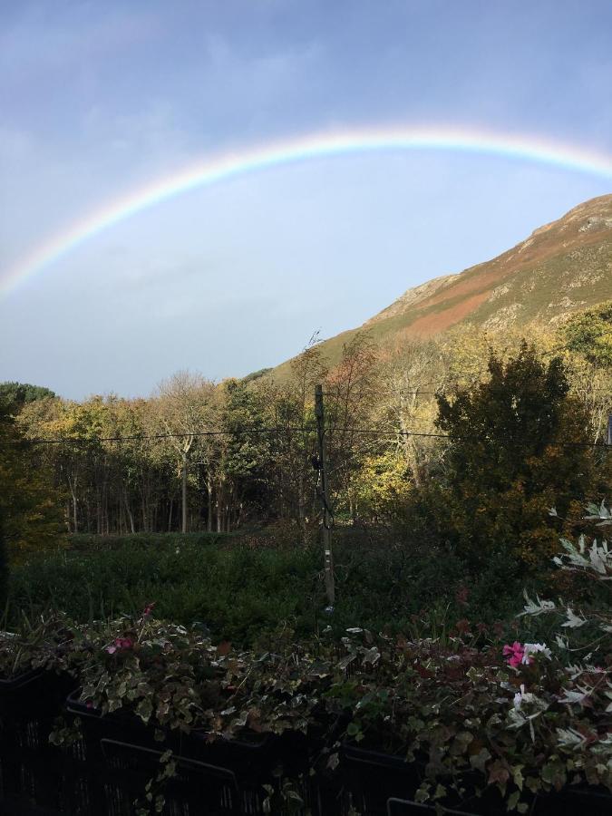 Bed and Breakfast Woodbriar Penmaen-mawr Exterior foto